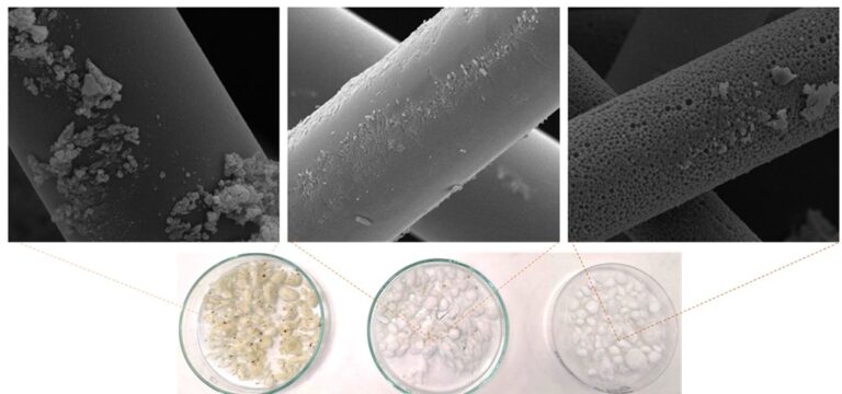 Microscope images of three fibres.